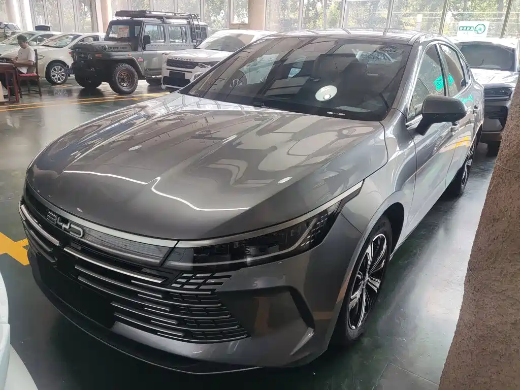 Фото 2 - BYD Destroyer 05