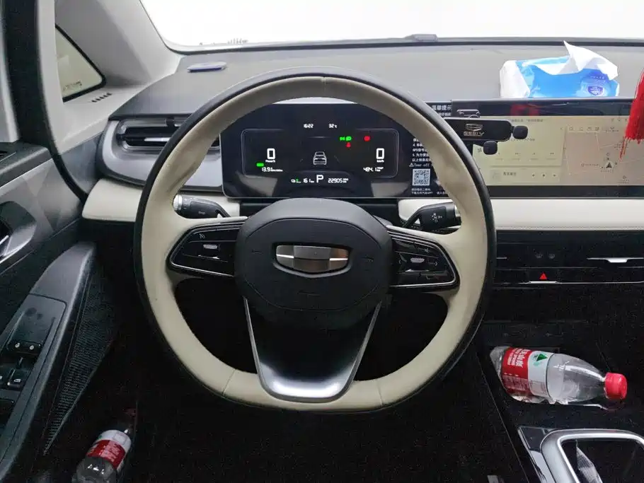 Geely Geometry E Firefly 2024 2024 Model 401km Fluorescent
