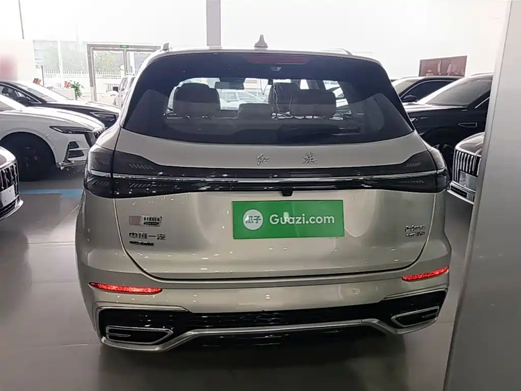 Hongqi HS5 2023 2.0T 4WD Flag Leader Pro фото 6