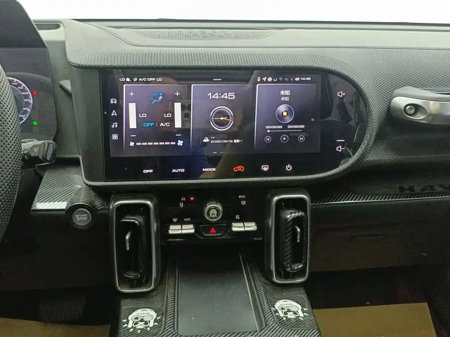 Haval Big Dog 2021 1.5T DCT 2WD Border Collie Edition фото 13