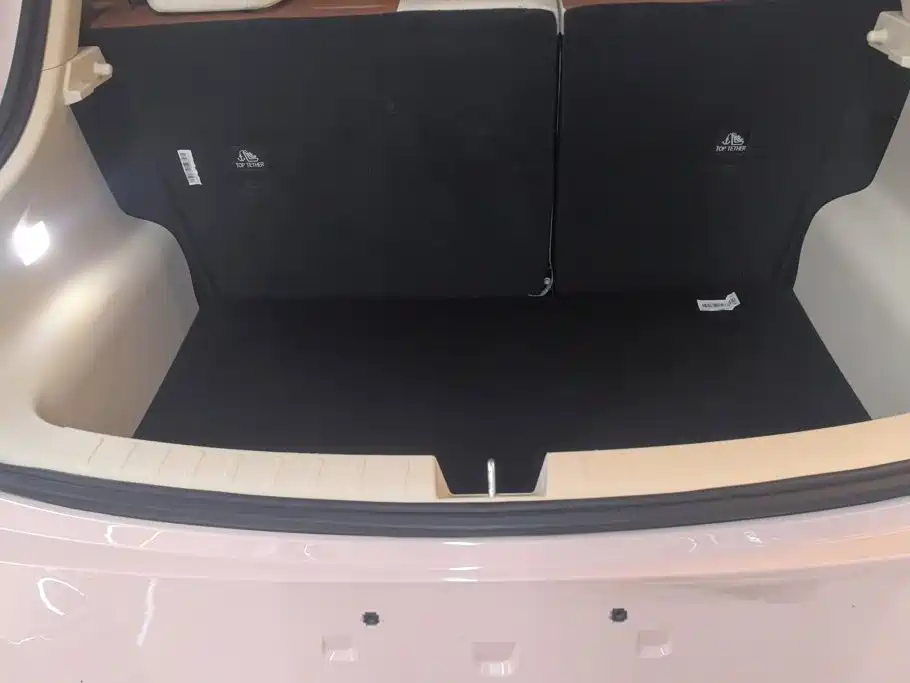 Ora Good Cat 2023 2022 Model Morandi Edition 400km Standard Range Luxury LFP