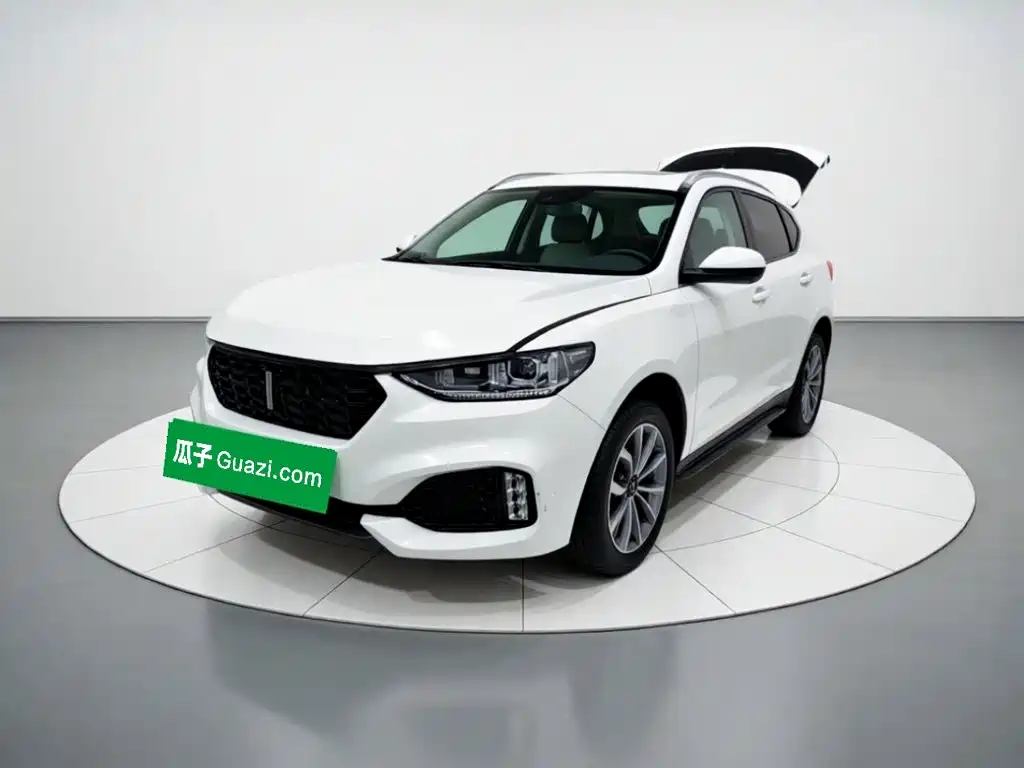 WEY VV6 2019 2018 2.0T 2WD Super Luxury China V
