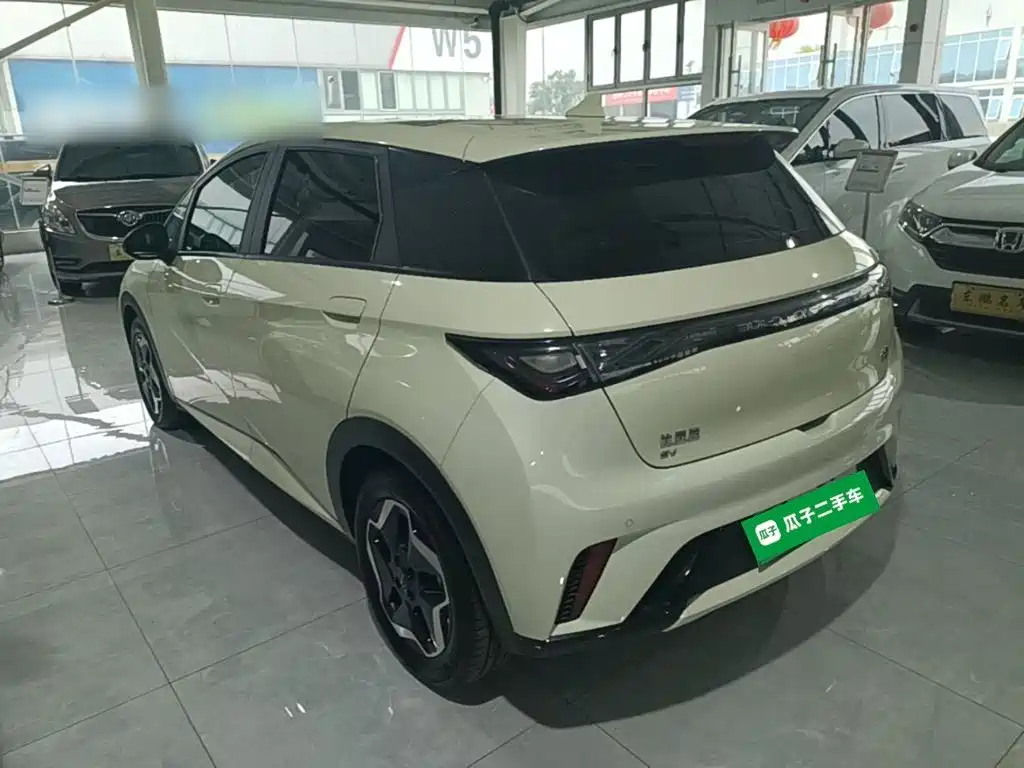 Фото 5 - BYD Dolphin