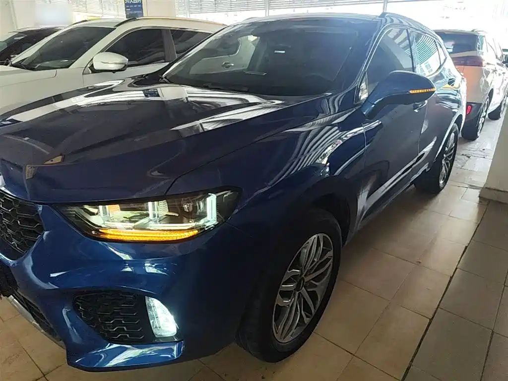 WEY VV5 2017 2017 2.0T Super Luxury Model