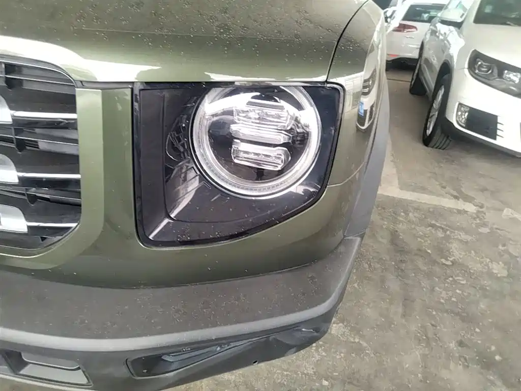 Haval Big Dog 2021 1.5T DCT 2WD Border Collie Edition фото 24
