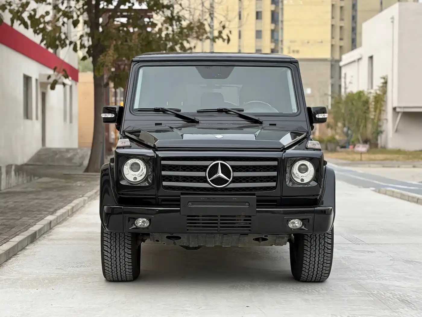 Mercedes-Benz G-Class 2010 G 500 фото 2