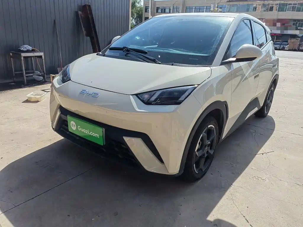 BYD Seagull 2024 Glory Edition 405km Soaring Edition