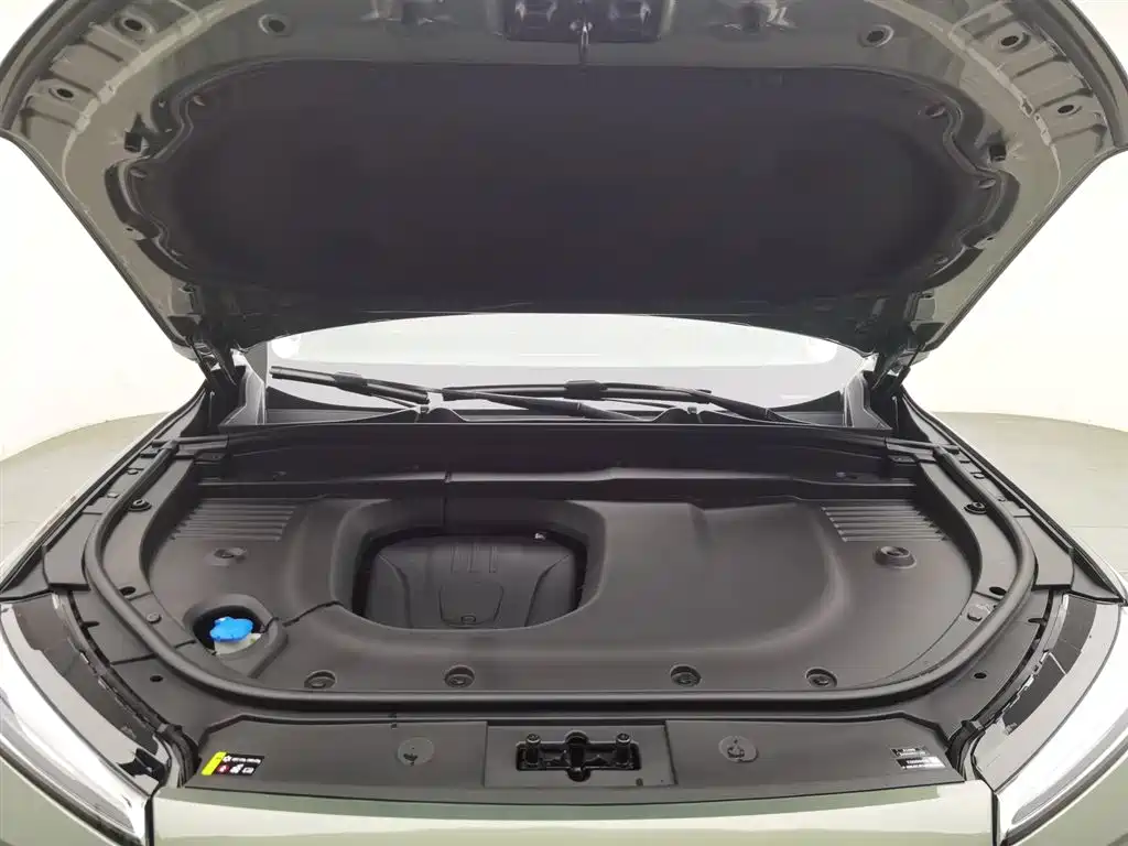 WEI PAI WEI BRAND BLUE MOUNTAIN