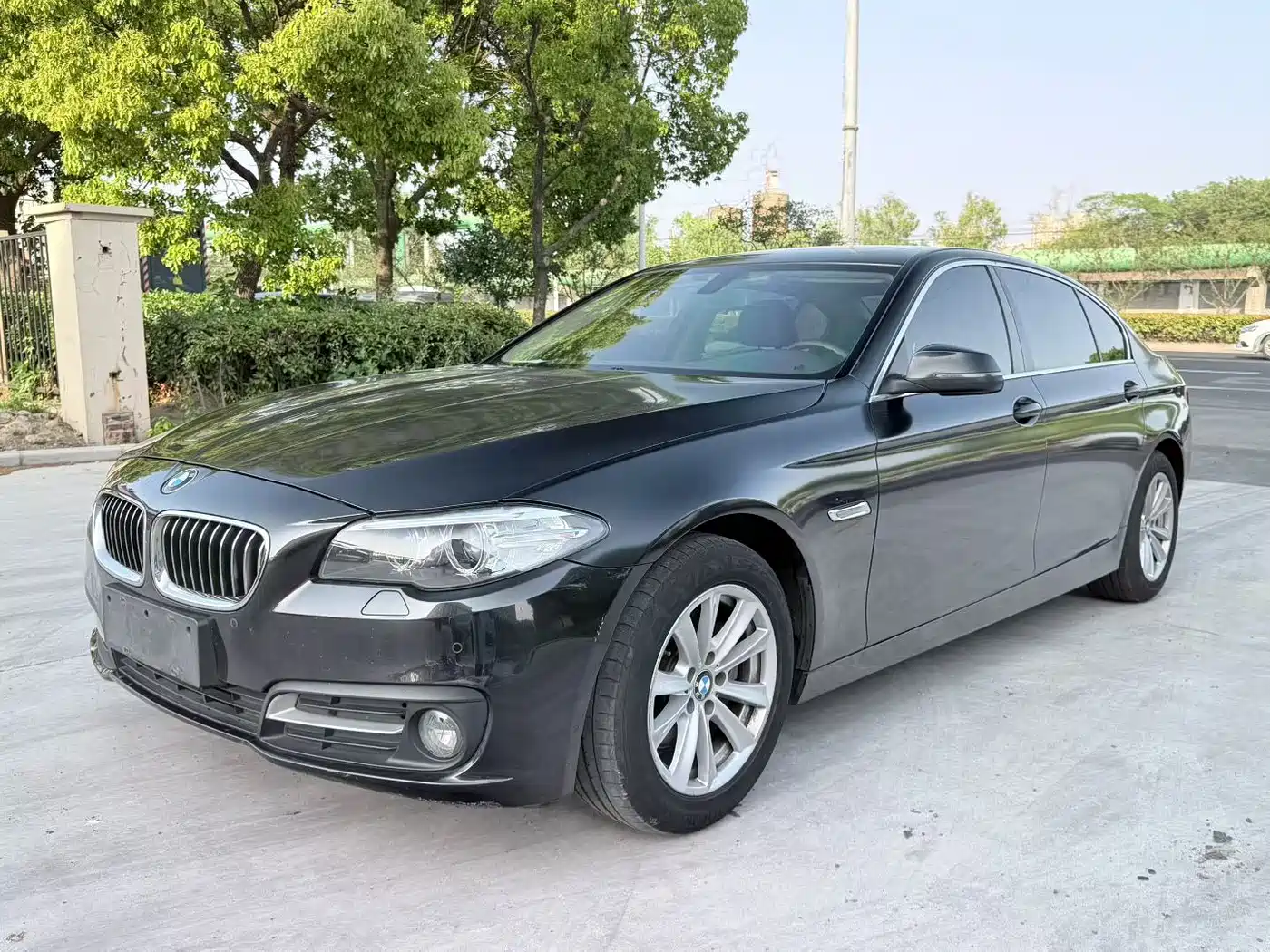 BMW 5 Series 2014 520Li Elegance фото 3