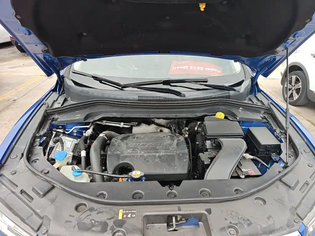 Фото 20 - Haval H2s