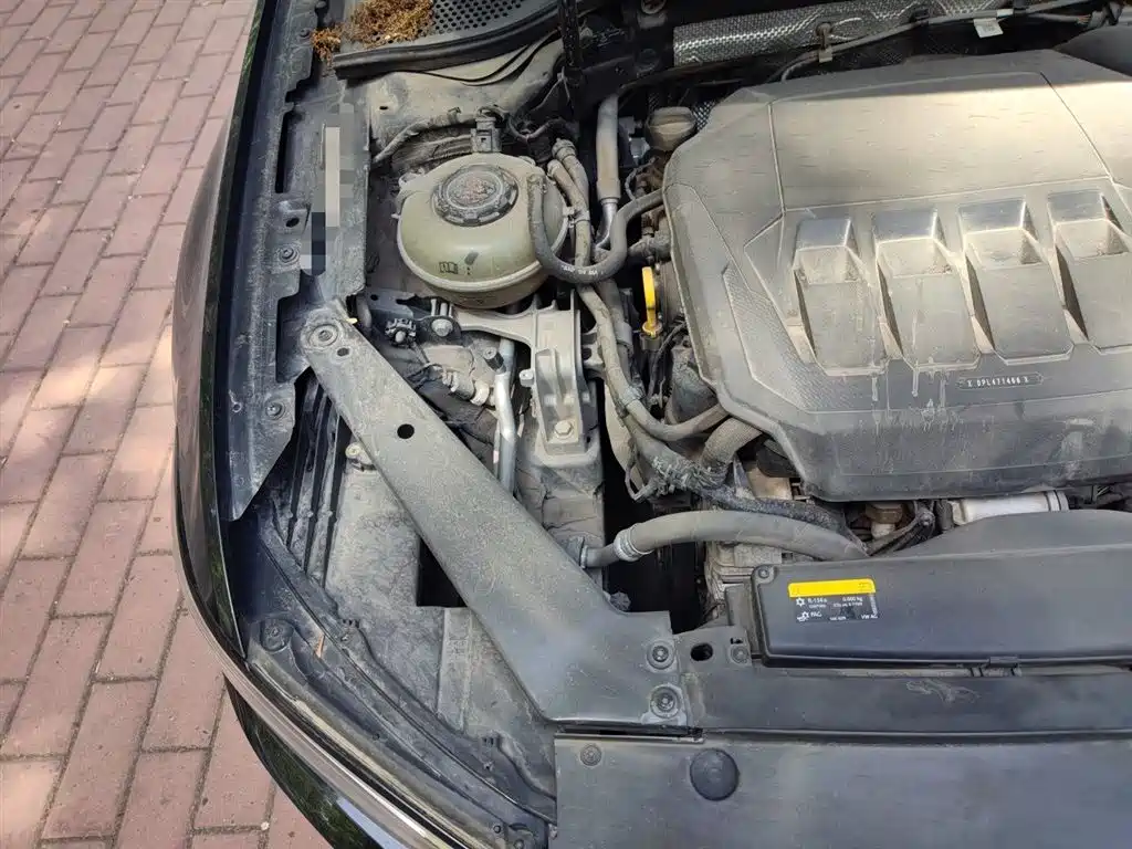 Volkswagen Magotan 2020 330TSI DSG Luxury фото 21