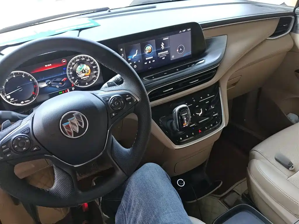 Buick GL8 2021 ES Landlord 653T Premium фото 10