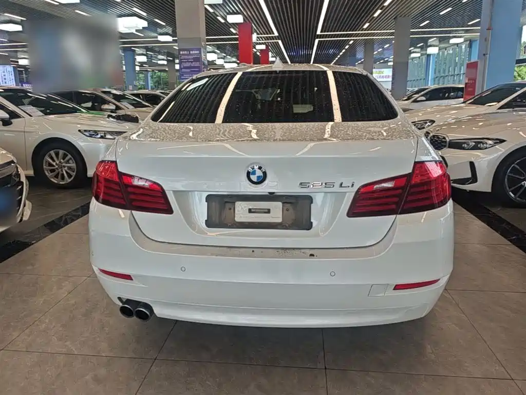 BMW 5 Series 2017 525Li Leading Edition фото 6
