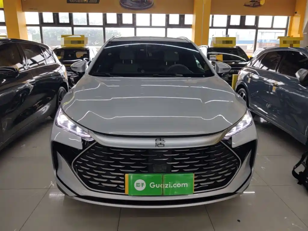 BYD Tang New Energy 2024 DM-i Glory Edition 112KM Deluxe фото 3
