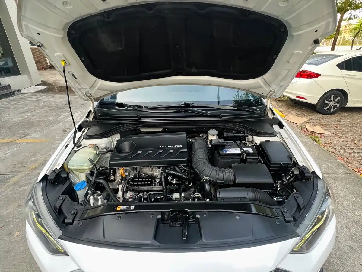 Hyundai Elantra 2019 1.4T Dual-clutch XuanDong·Vitality Type фото 10