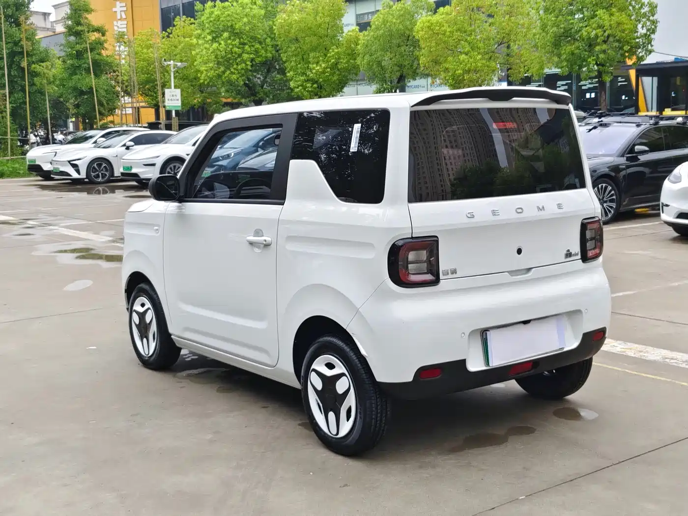Geely Galaxy Panda 2026 2025 Panda mini 210km Vitality Bear