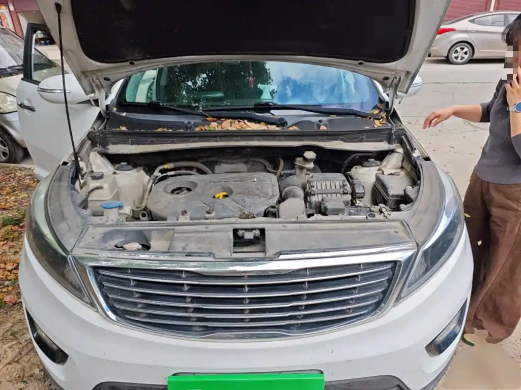 Kia Sportage 2015 2.0L Automatic 2WD DLX фото 11