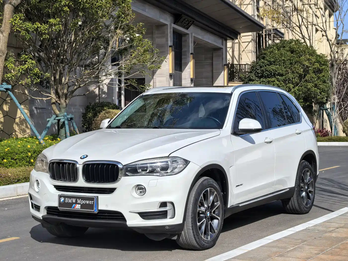 BMW X5 (Import) 2014 xDrive35i Leading фото 23