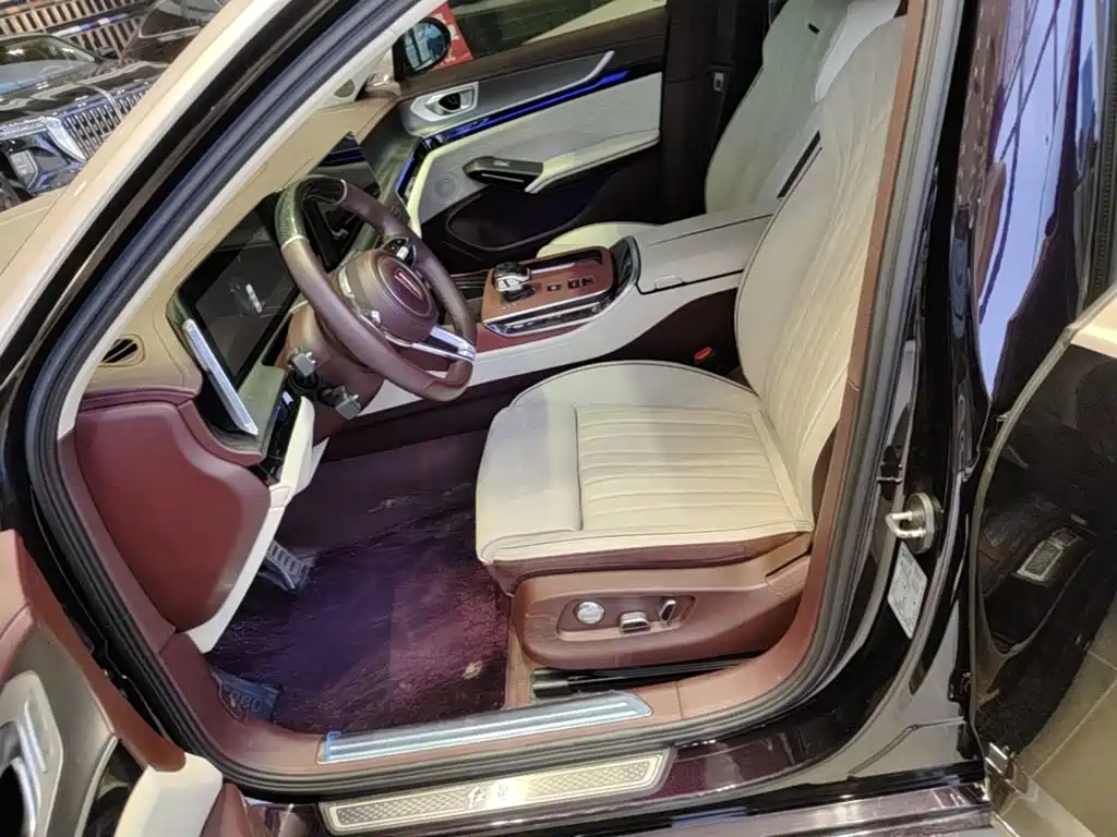 Фото 11 - Hongqi H9
