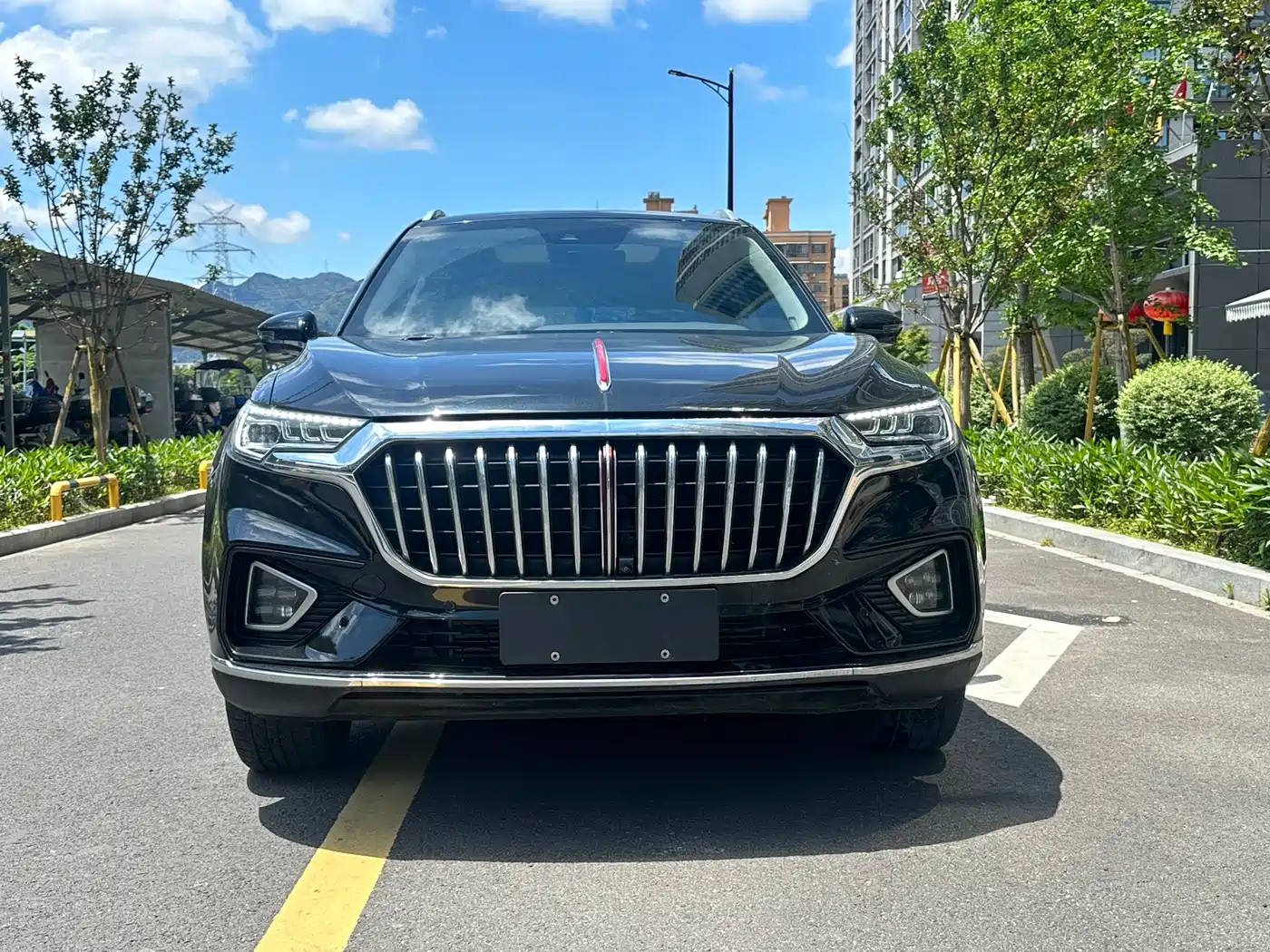 Hongqi HS5 2019 2.0T Smart Connect Joy Edition фото 2