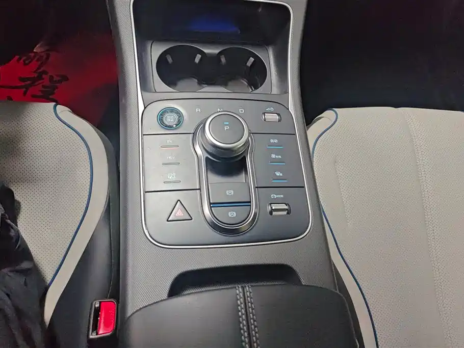 BYD Destroyer 05 2024 DM-i 55KM Pilot Glory Edition фото 16