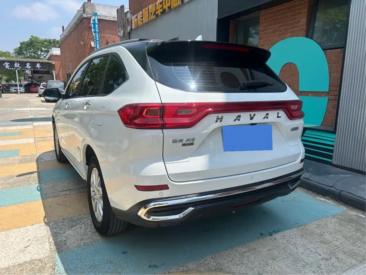 Haval M6 2024 PLUS 1.5T DCT Peanut Auto Custom Edition фото 10