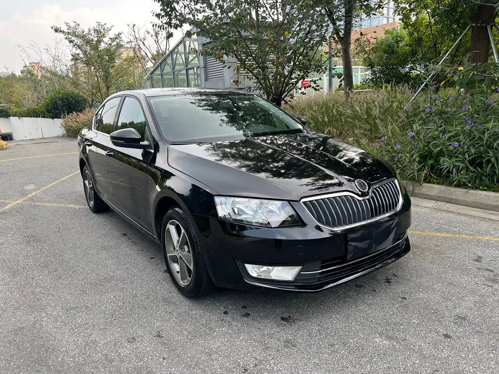 Фото 3 - Škoda Octavia