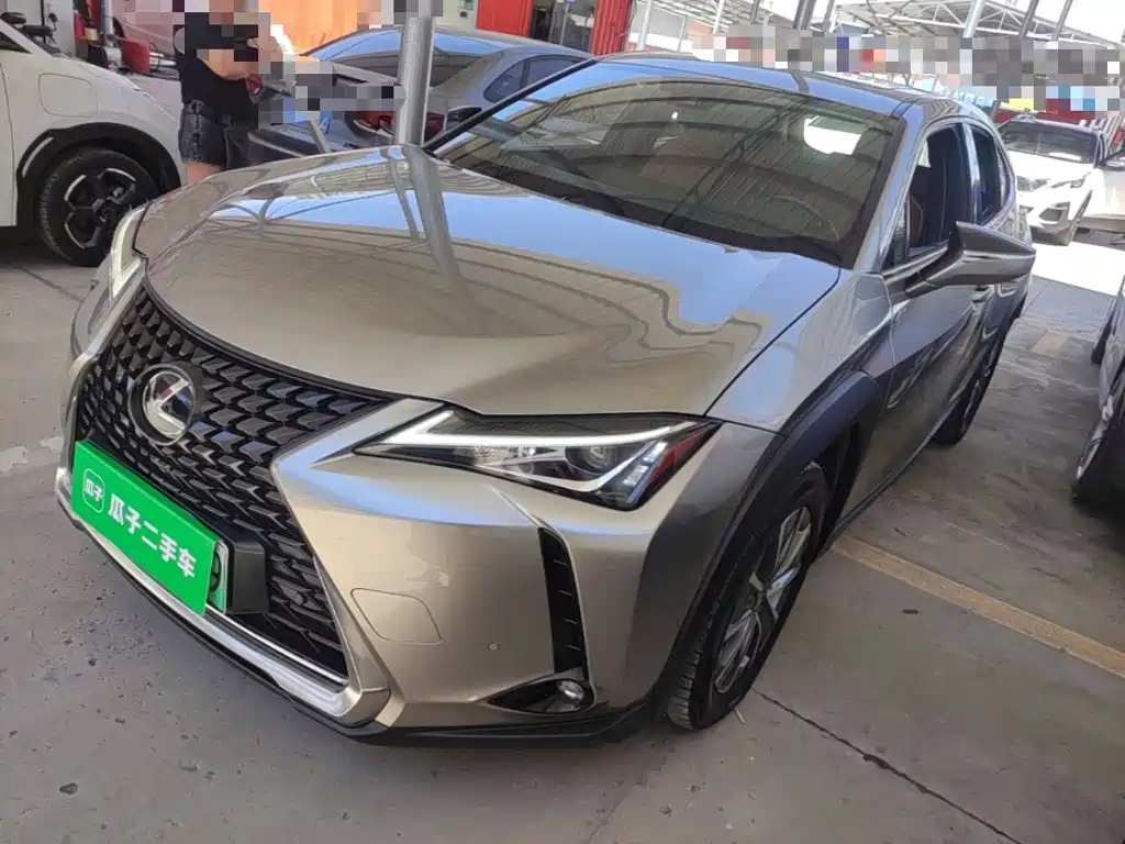 2021 Lexus UX Electric