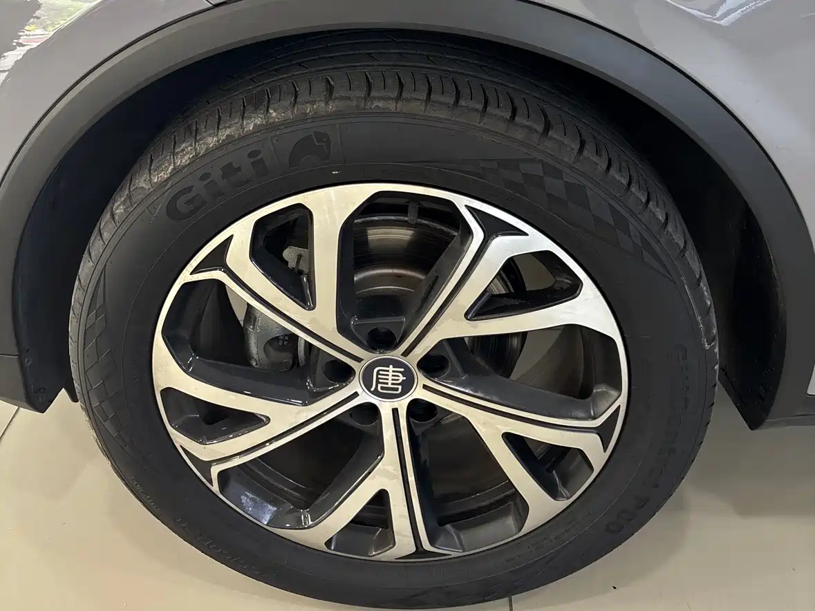 BYD Tang New Energy 2025 Smart Driving Edition DM-i 115KM Flagship фото 7