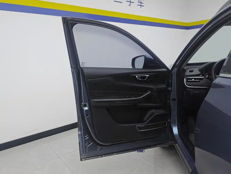 Chery New Energy Tiggo e 2020 2021 Tiger Leap Edition 95kW
