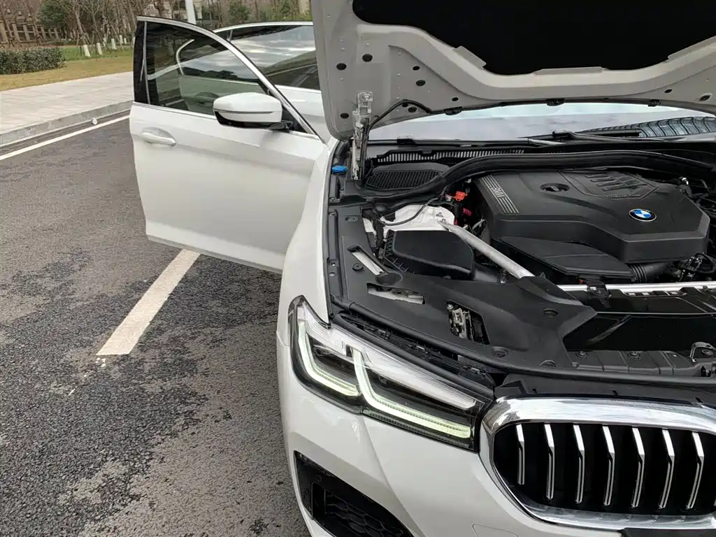 BMW 5 Series 2022 Model Third Facelift 530Li Premium M Sport Package фото 19