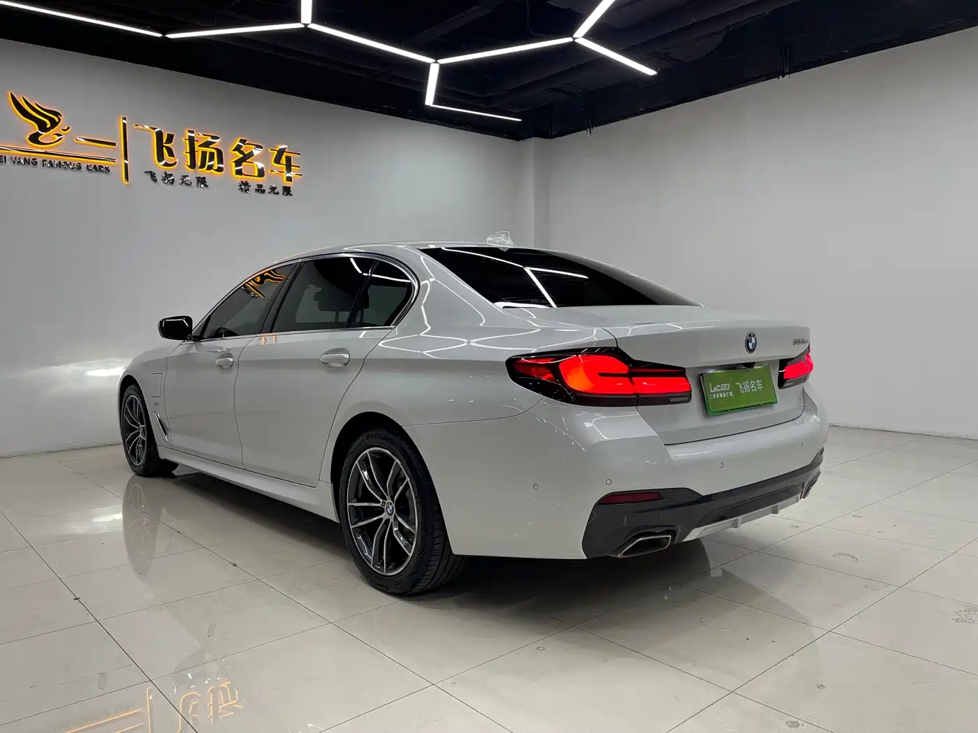 BMW 5 SERIES NEW ENERGY