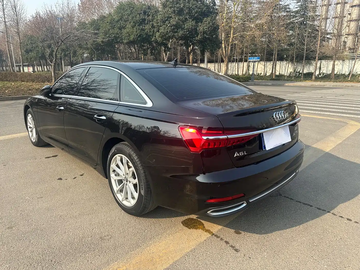 Audi A6L 2020 40 TFSI Luxury Elegance фото 8