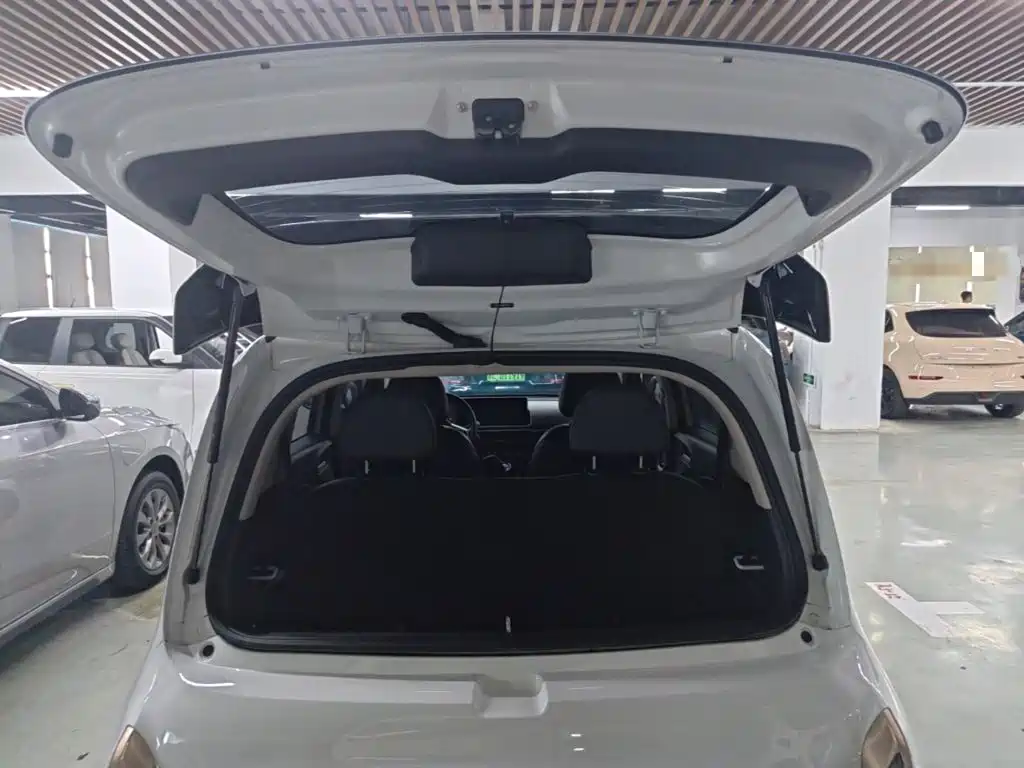 Ora White Cat 2022 2022 Wildcat Edition 360km Luxury (NMC)