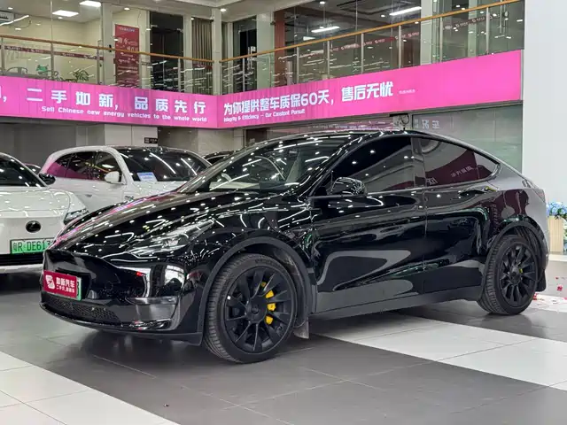 Tesla Model Y 2024 Long Range AWD — фото 1