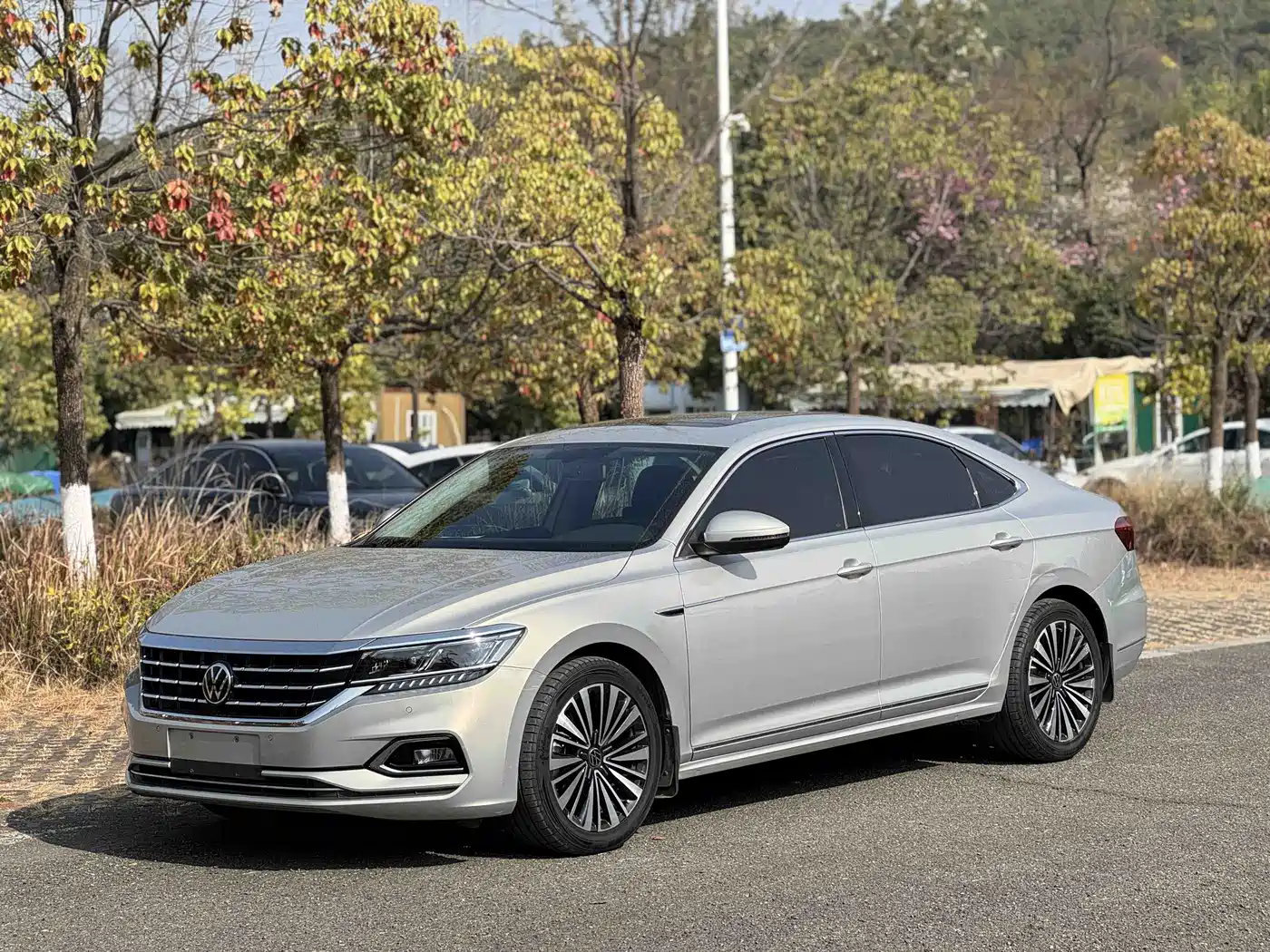 Volkswagen Passat 2019 330TSI Luxury Edition China VI