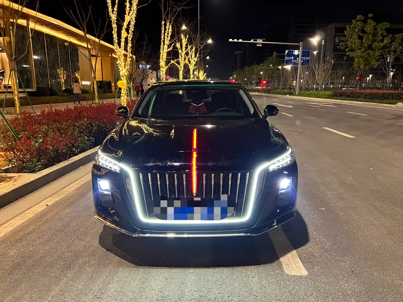 Hongqi H5 2024 2.0T Automatic Smart Connect Flag Smooth Edition фото 2