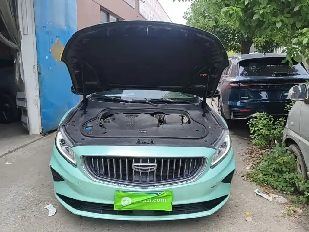 Geely Borui 2022 2021 1.8T Pilot Edition