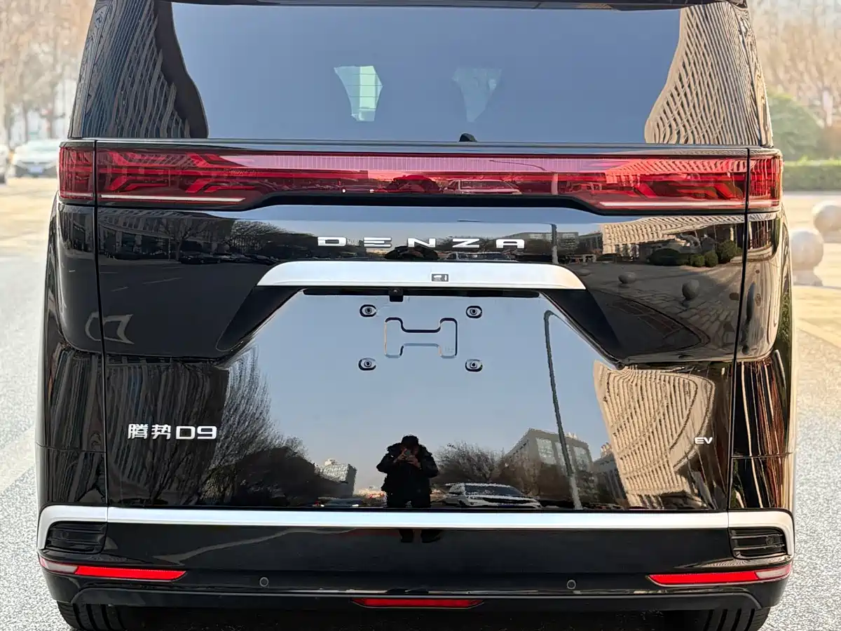 DENZA D9