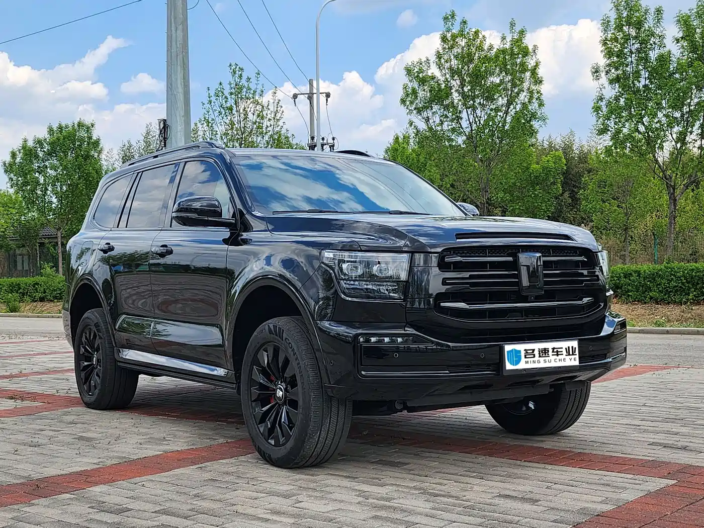 Tank 500 EV 2024 Hi4-T Black Warrior Edition фото 2