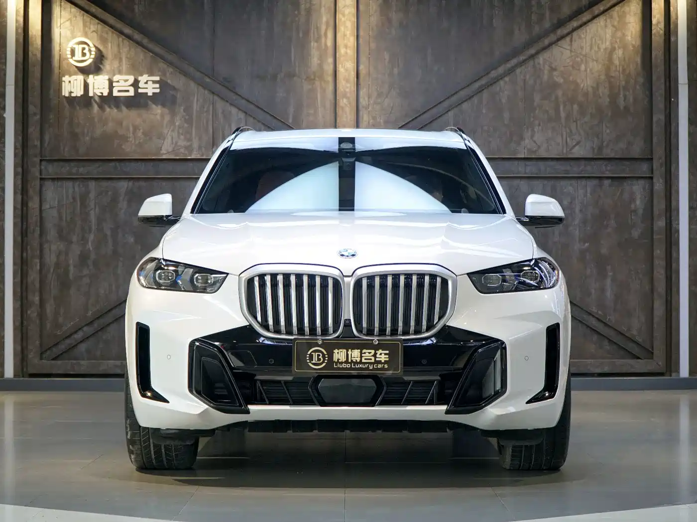 BMW X5 2023 xDrive 40Li M Sport Black Night Package фото 2