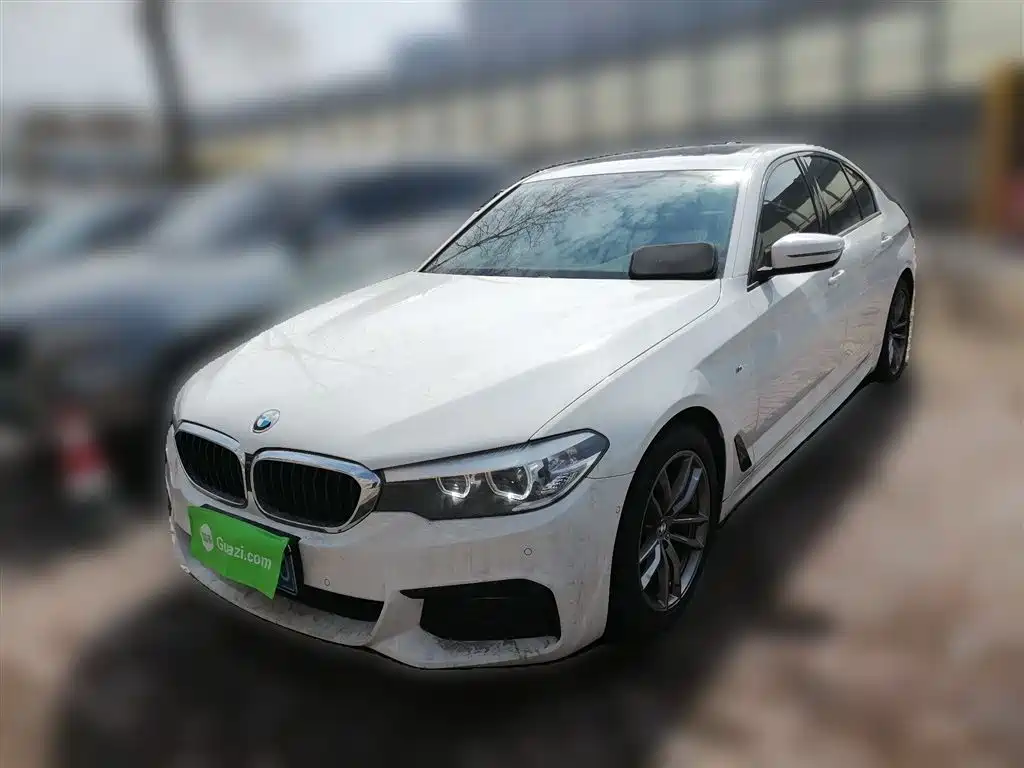 BMW 5 Series (Import) 2019 525i M Sport Package фото 2