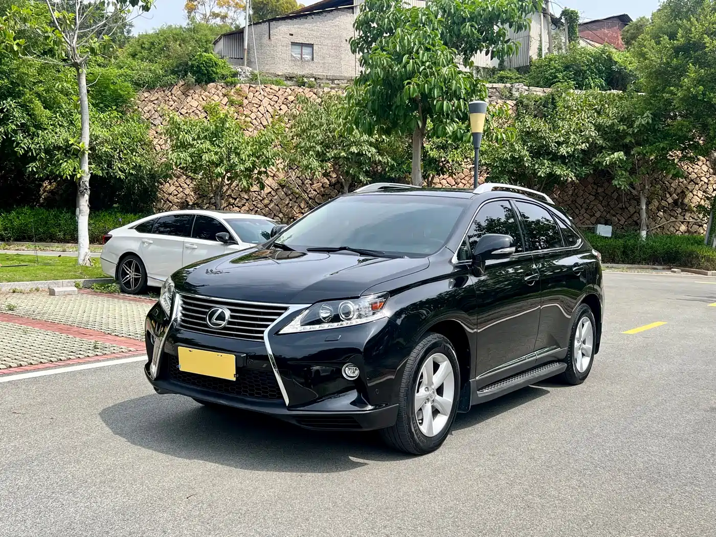 Lexus RX Classic 2013 270 Elite