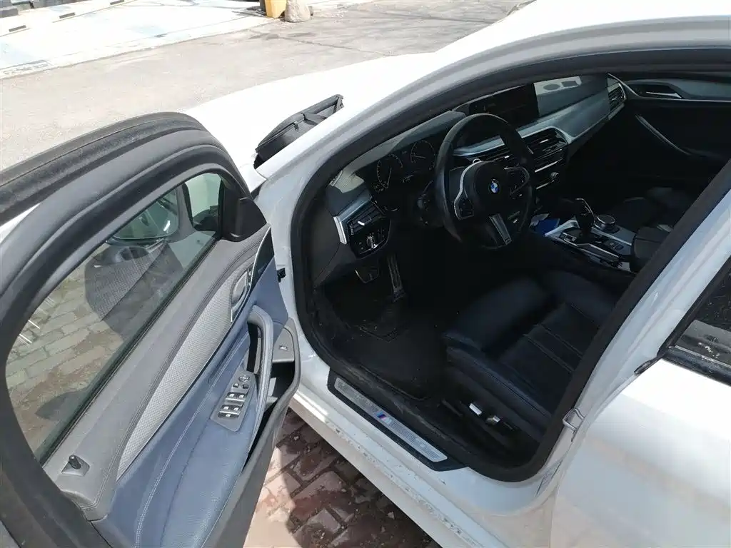 BMW 5 Series (Import) 2019 525i M Sport Package фото 14