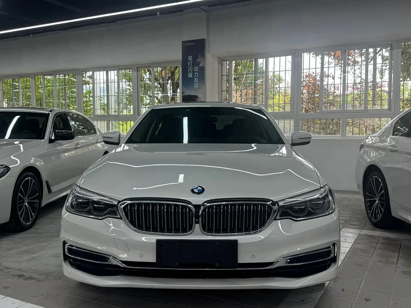 BMW 5 Series 2019 530Li Premium Luxury Package фото 2