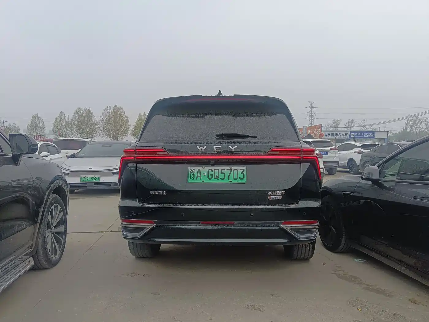 WEI PAI WEI BRAND BLUE MOUNTAIN