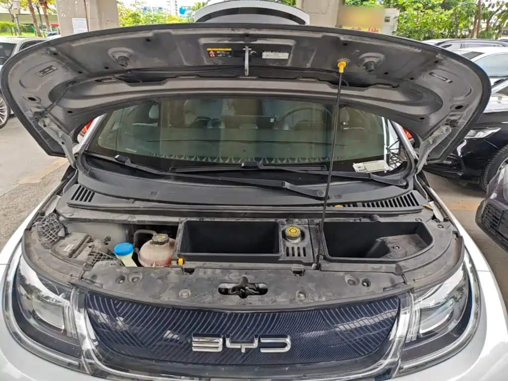 BYD Dolphin 2021 2021 405km Freedom Edition