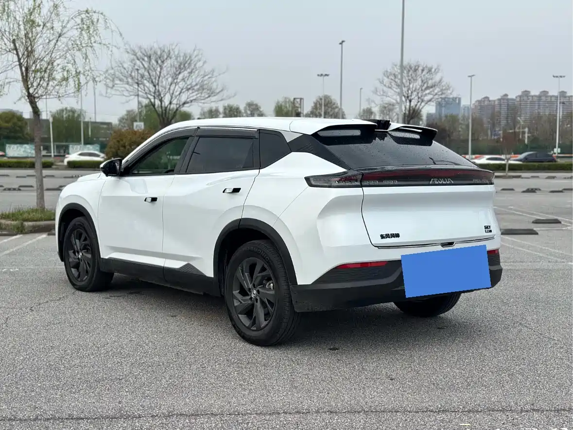 DONGFENG SKY EV01