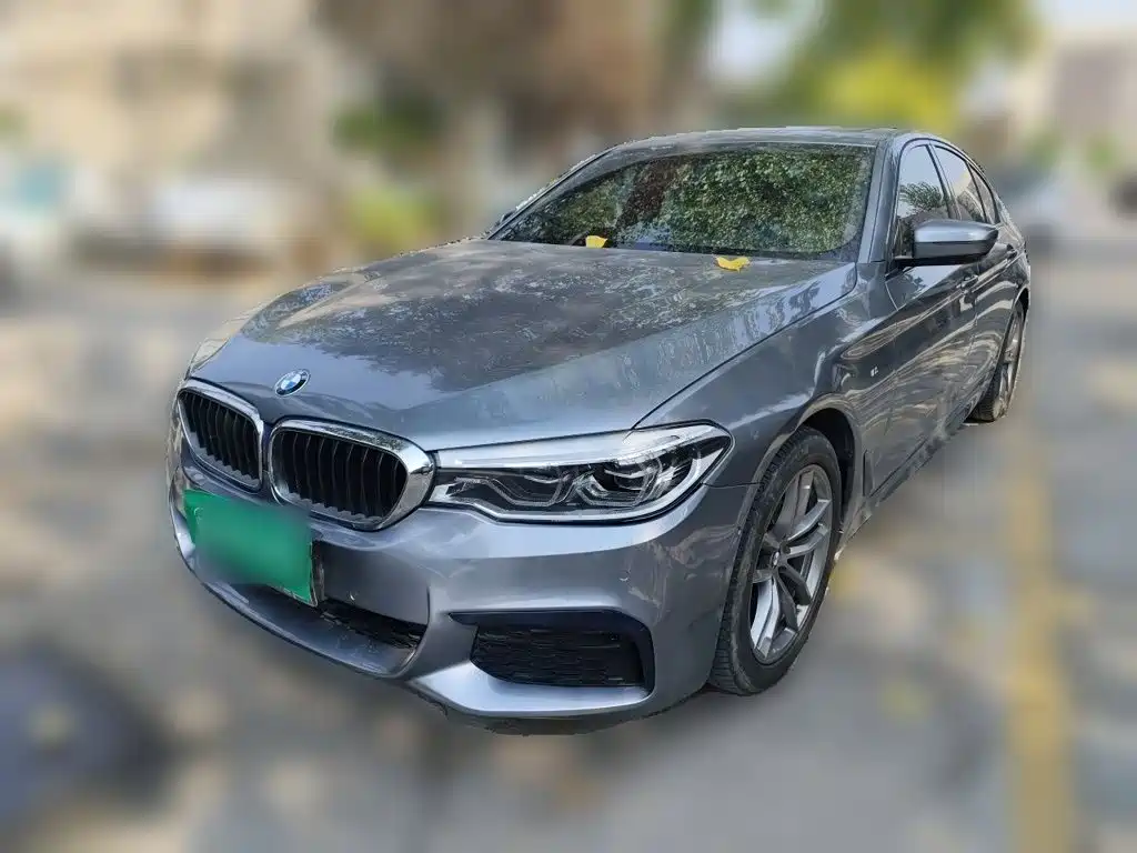 BMW 5 Series (Import) 2020 — пригон из Китая
