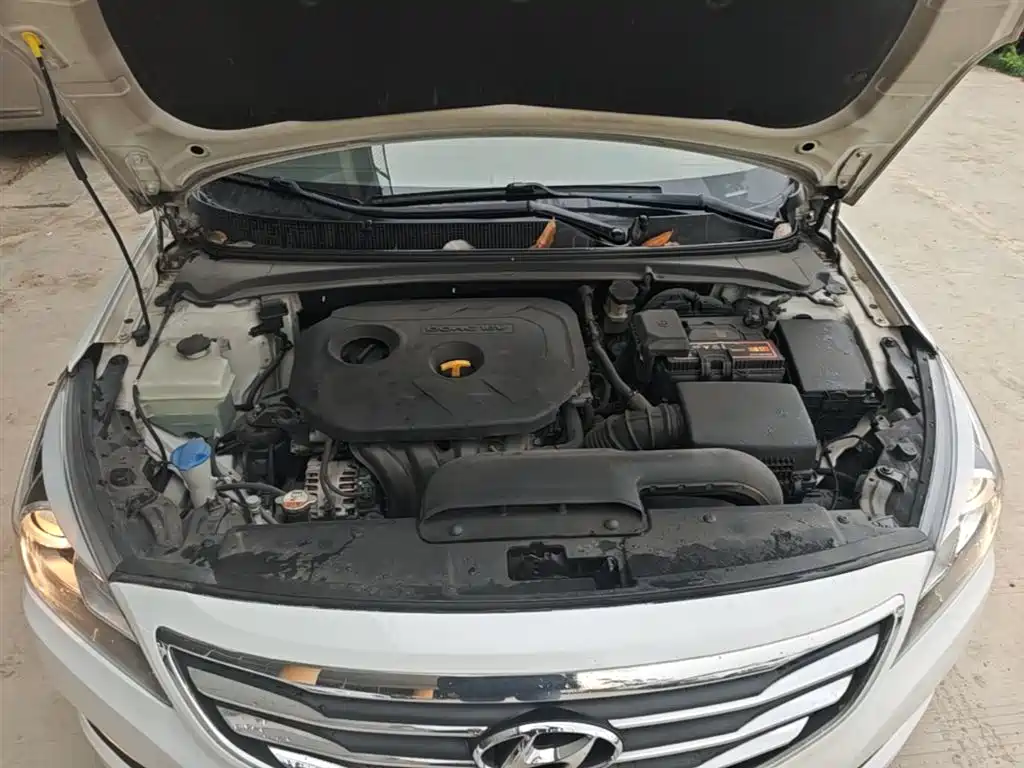 Hyundai Mistra 2014 1.8L Auto Premium DLX фото 20